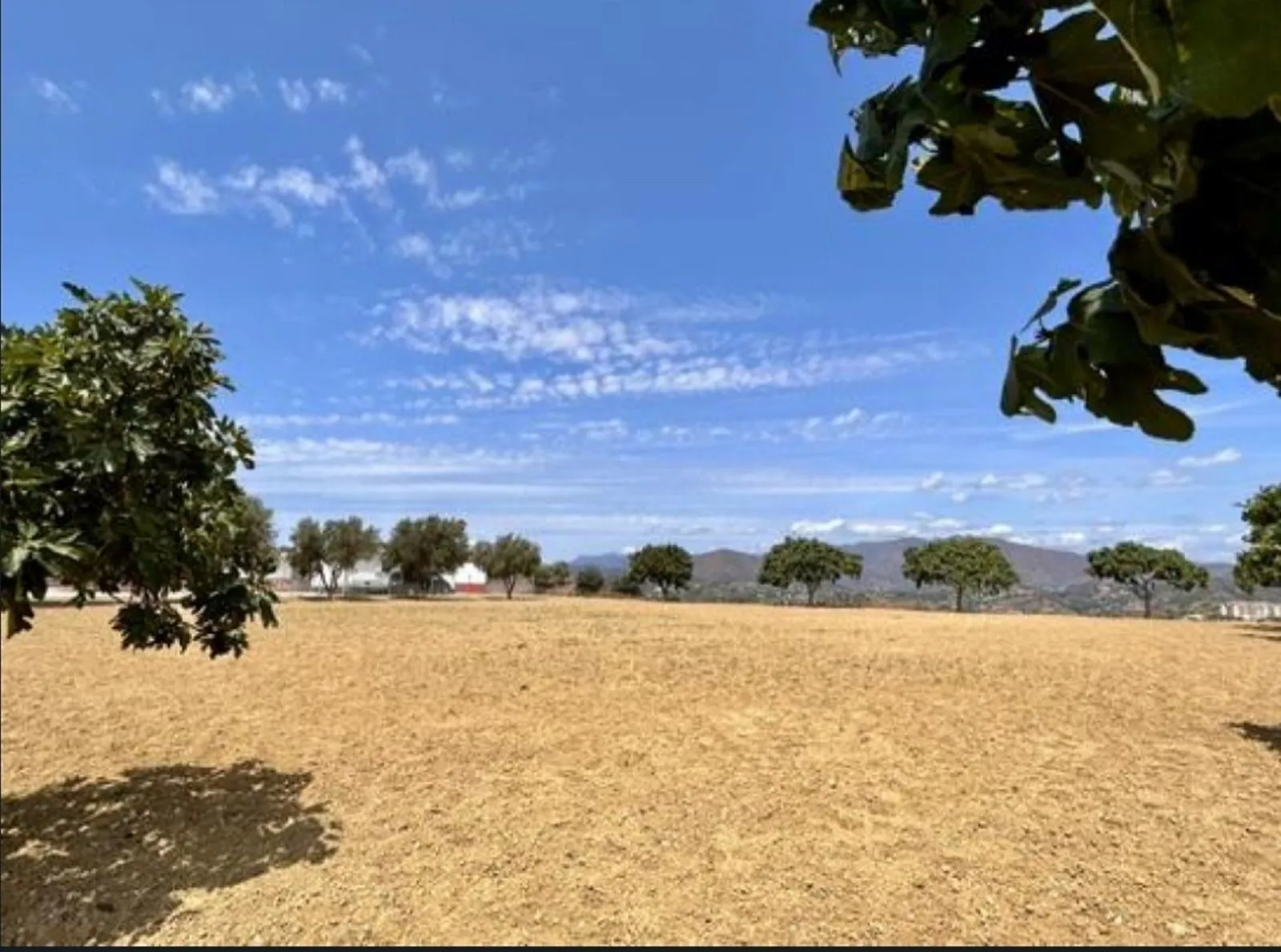 property_gallery_img_8967