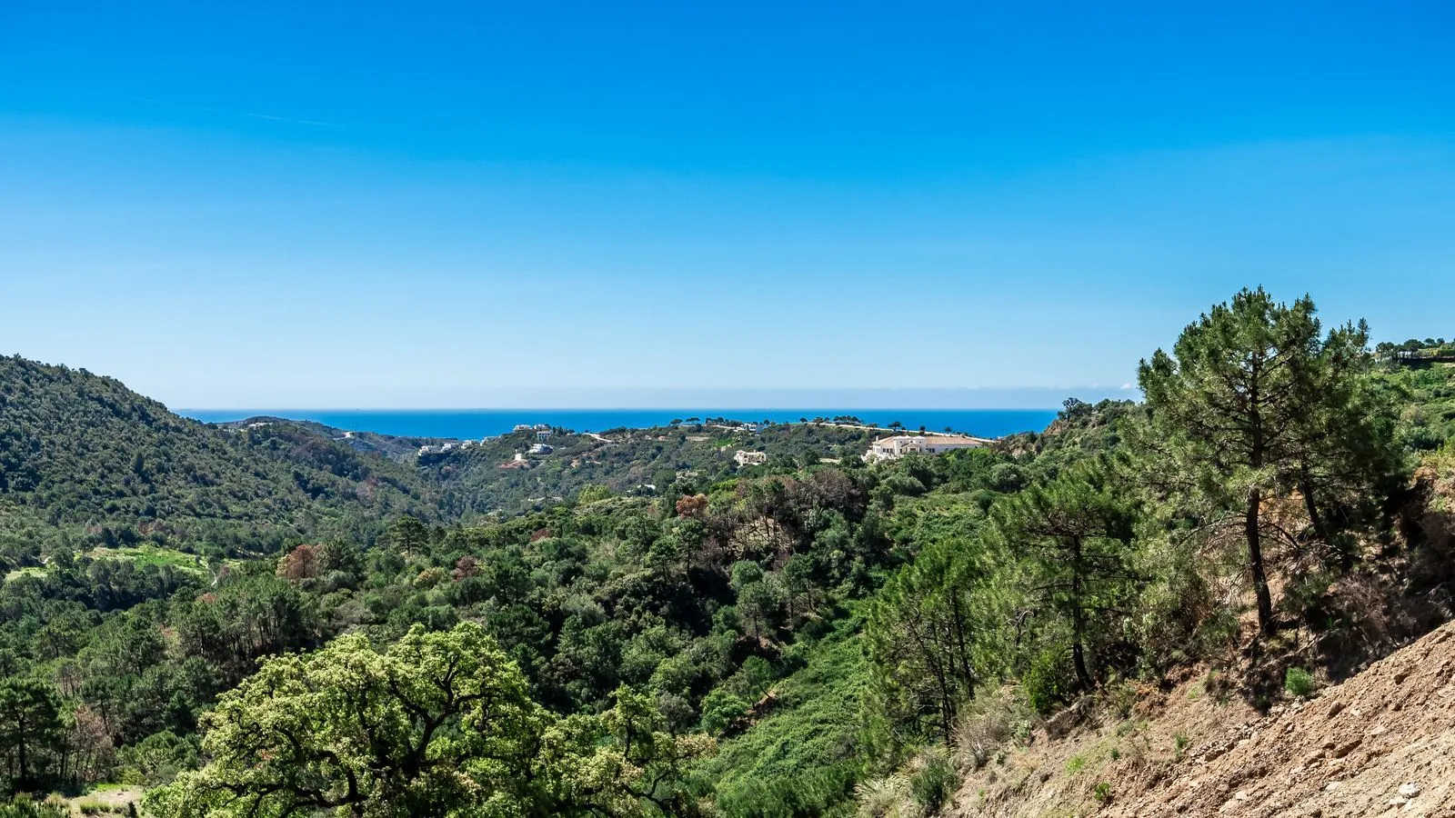 property_gallery_img_9061