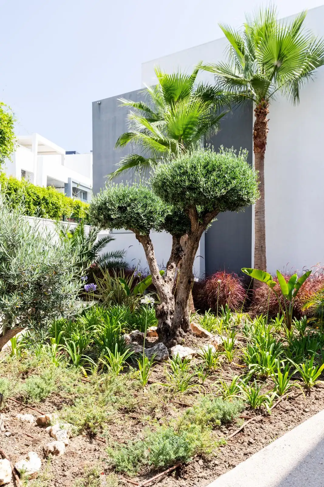 property_gallery_img_26399