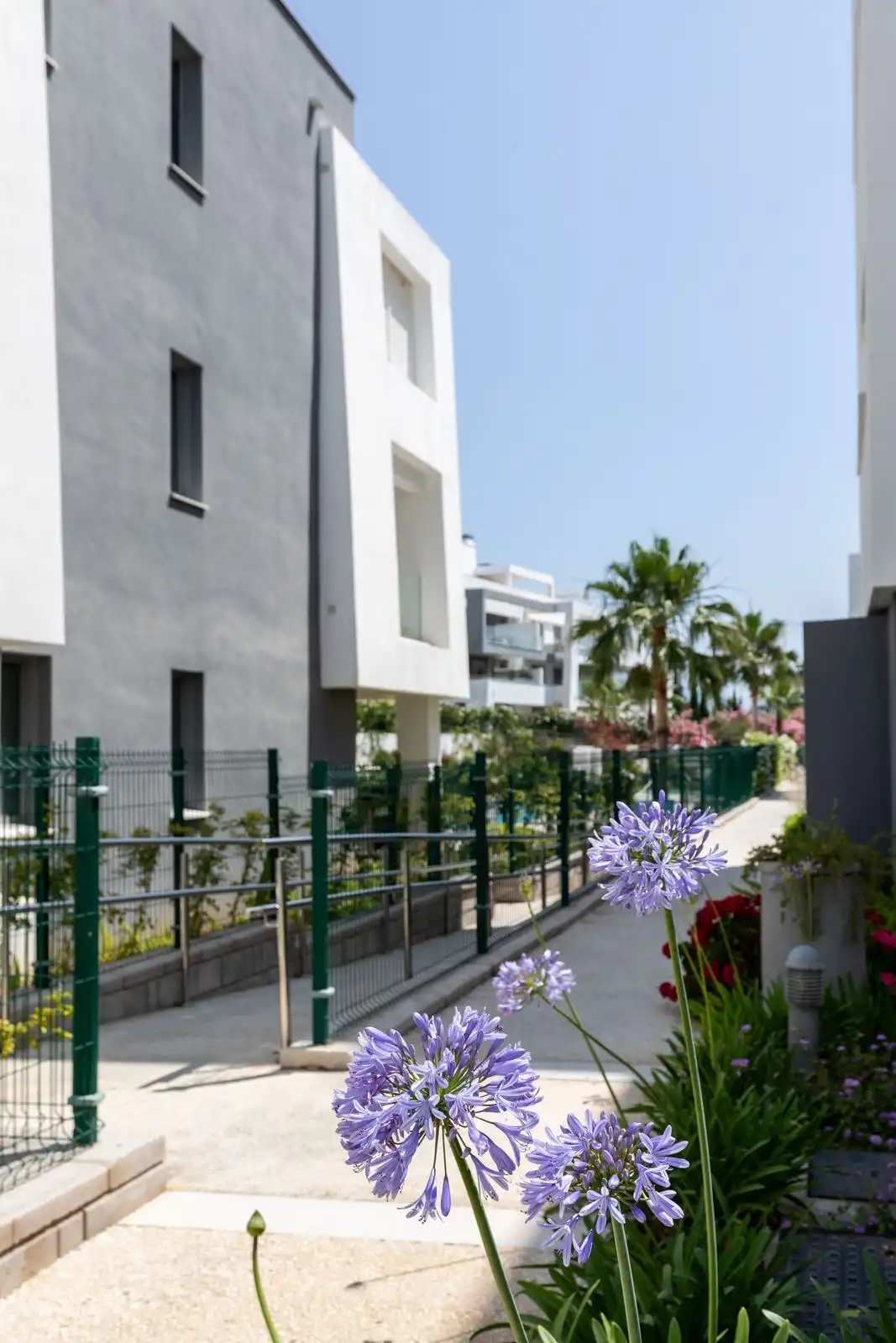 property_gallery_img_26401