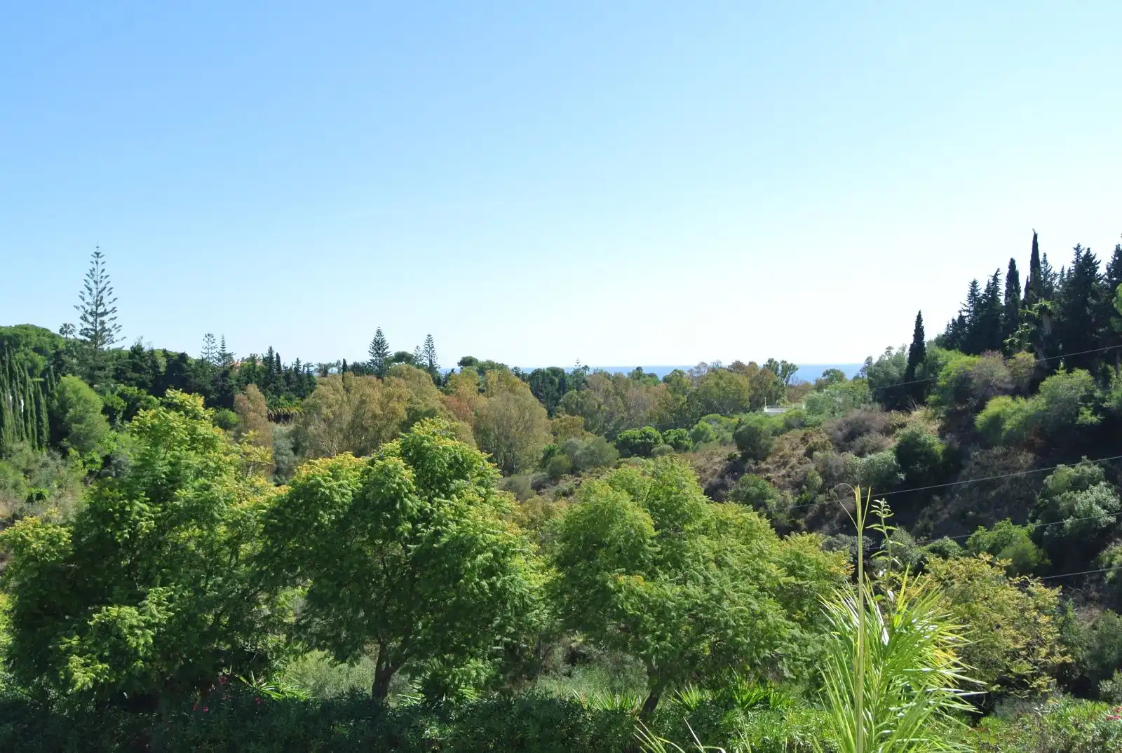 property_gallery_img_22879