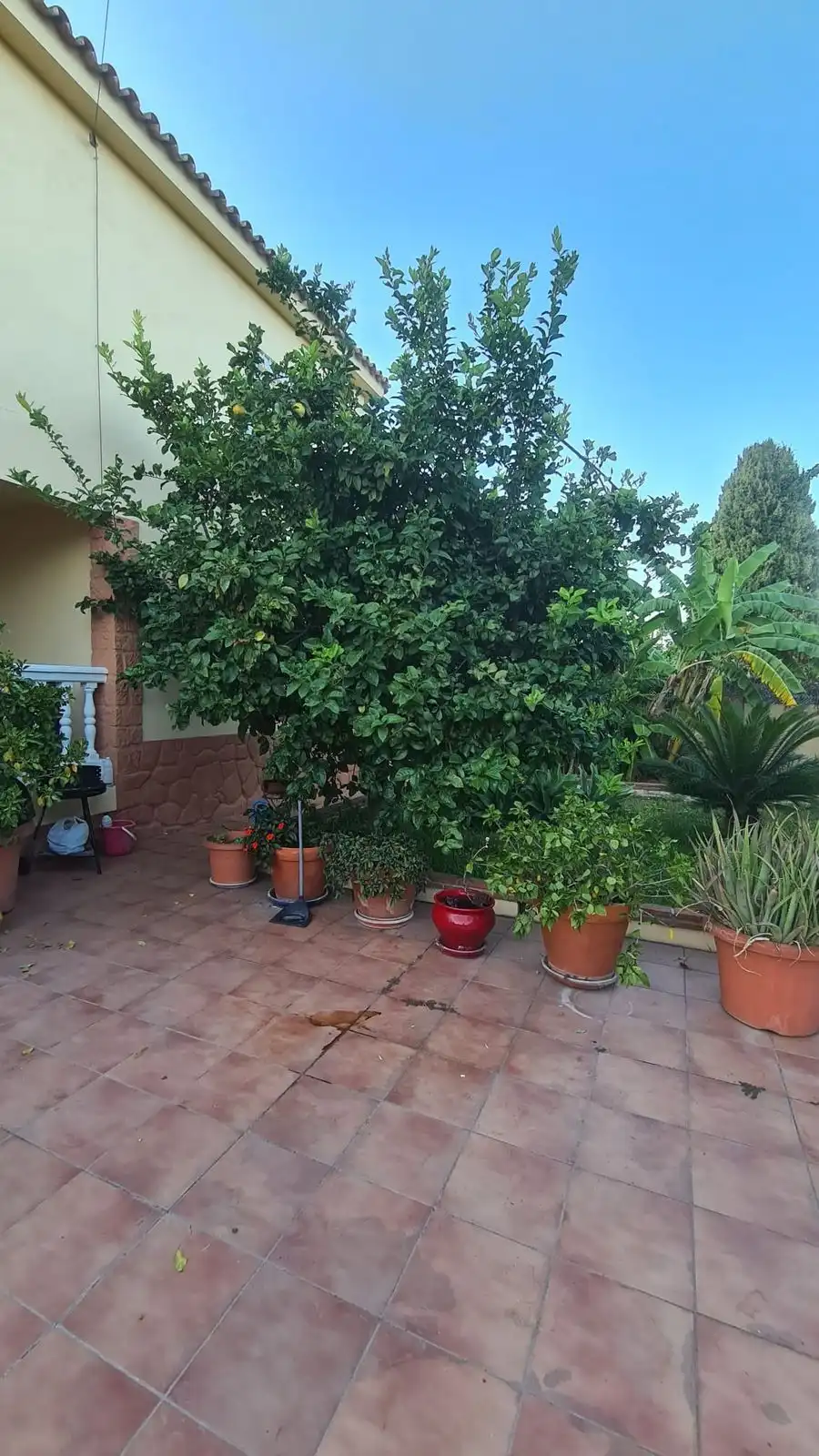 property_gallery_img_38234