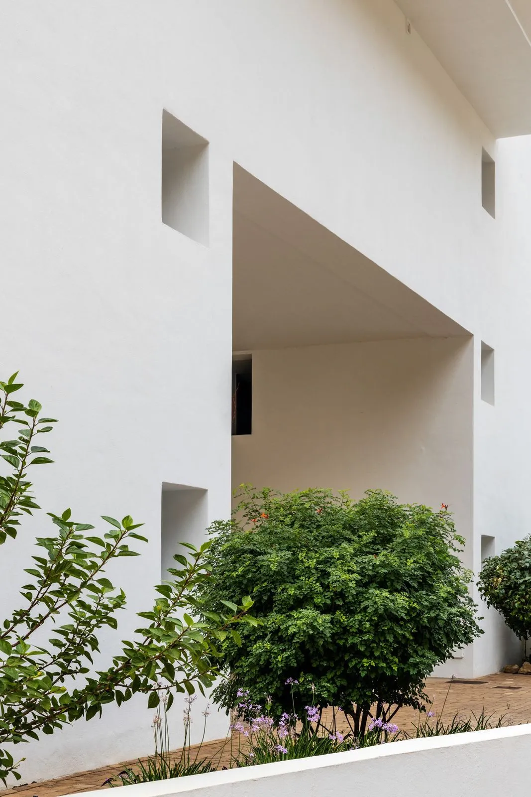 property_gallery_img_56219