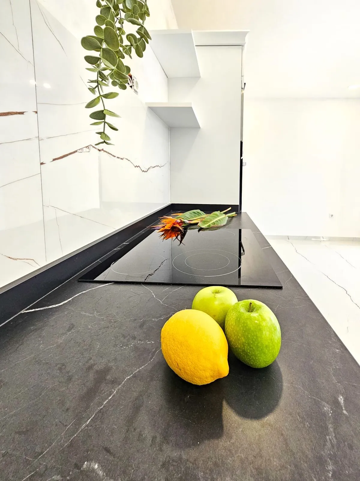 property_gallery_img_53812