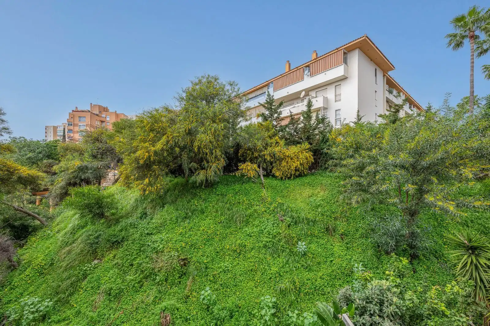 property_gallery_img_46695