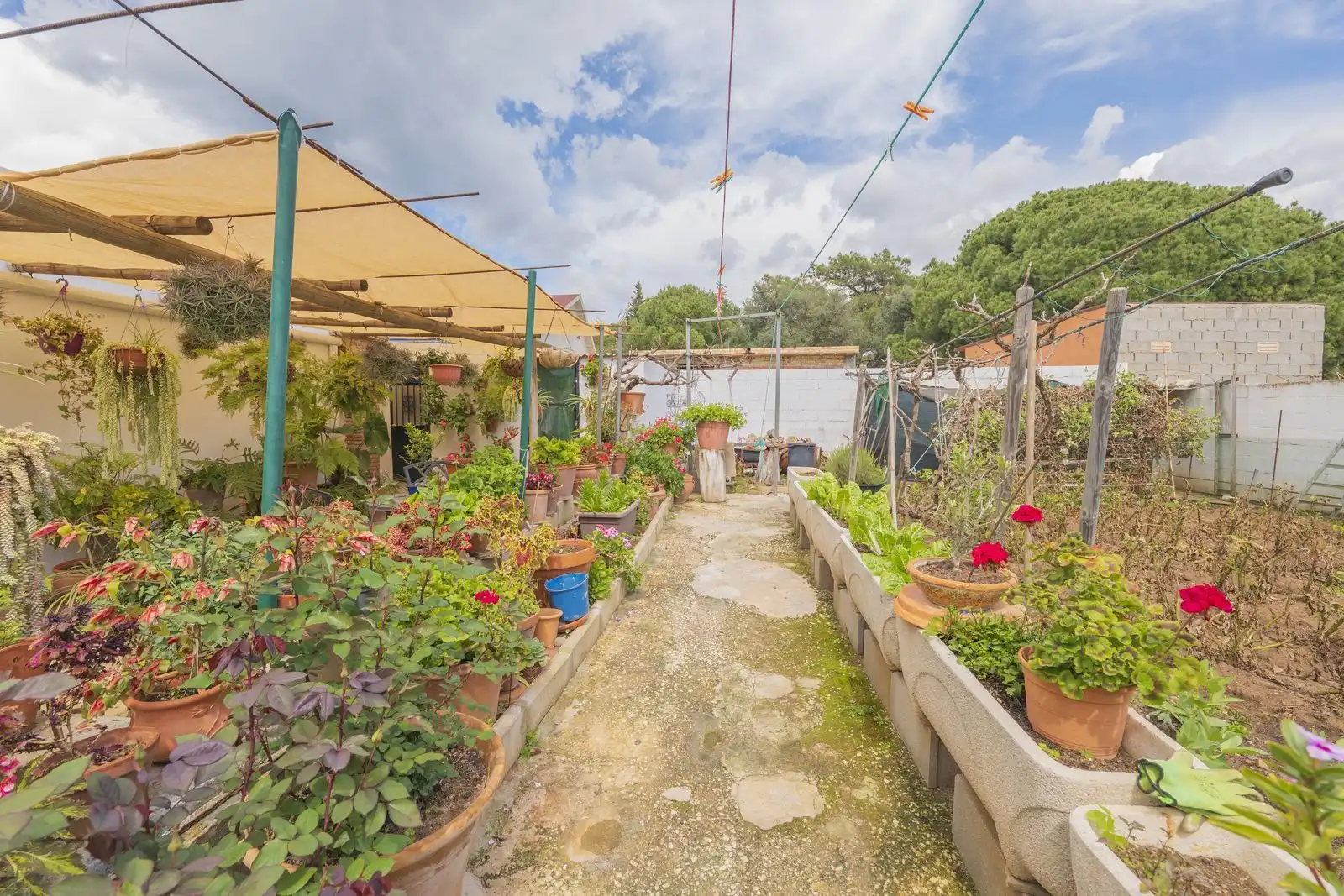 property_gallery_img_72332