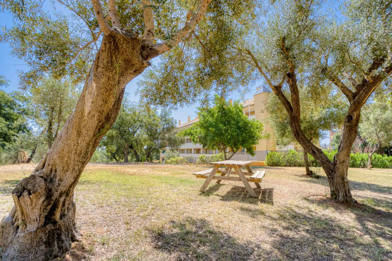 property_gallery_img_71234