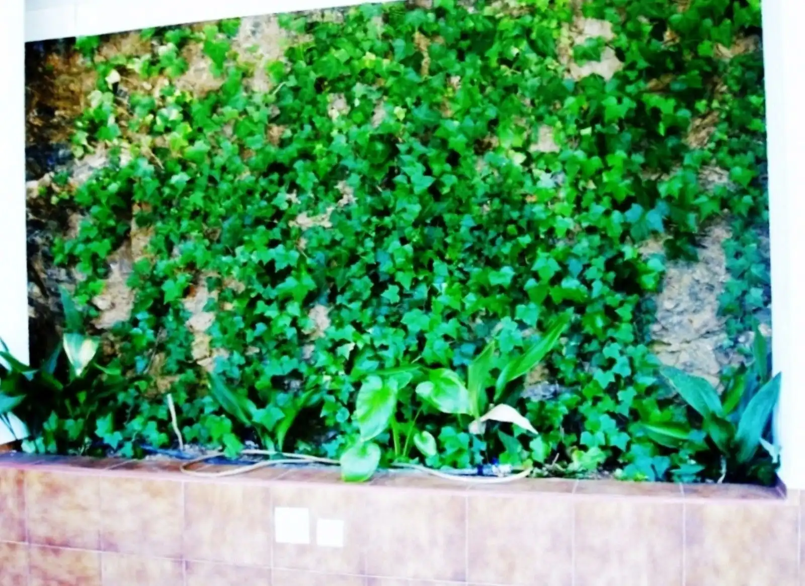 property_gallery_img_70285