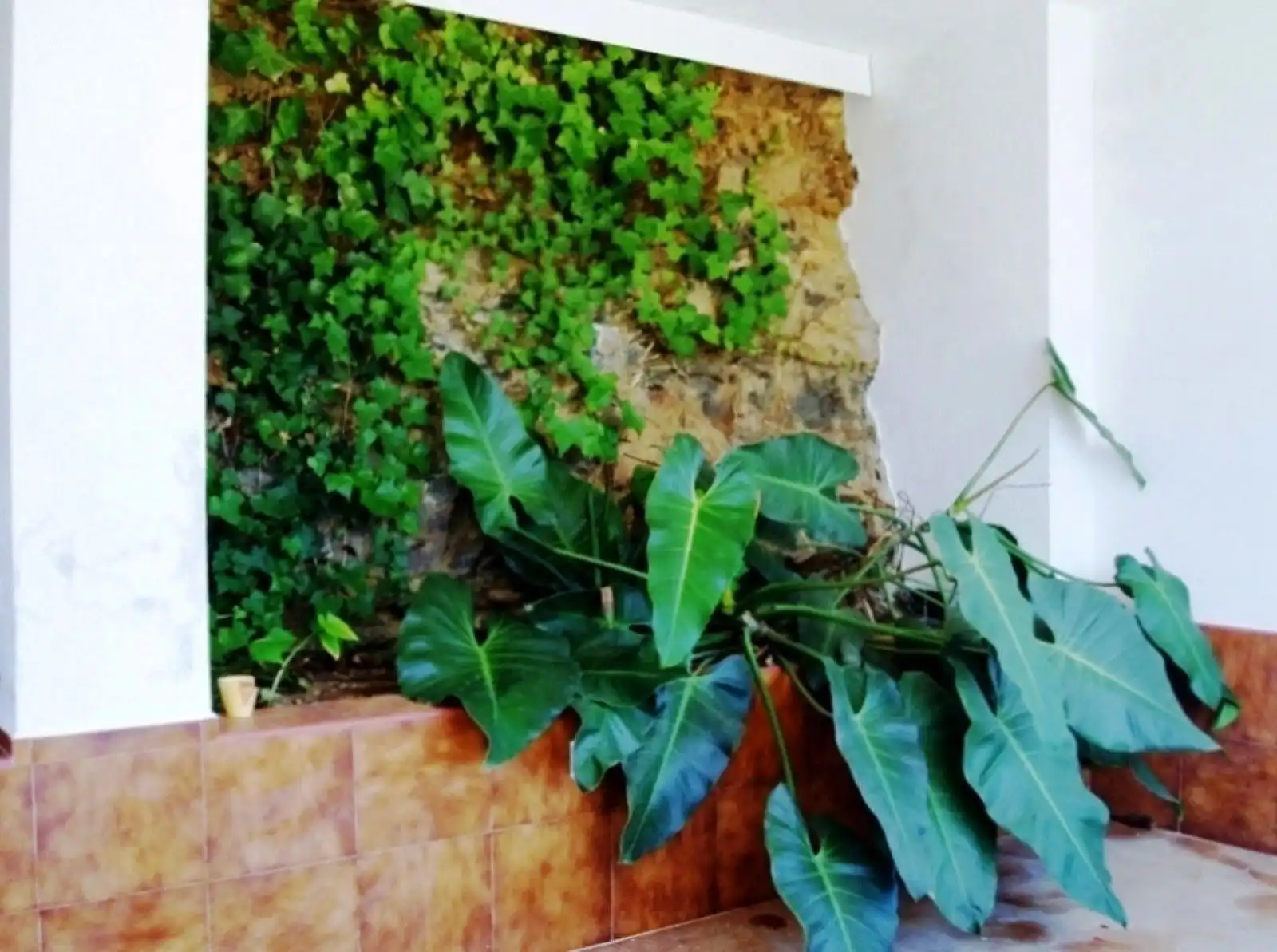 property_gallery_img_70287