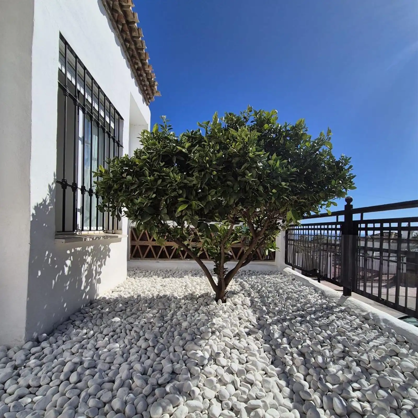 property_gallery_img_67403