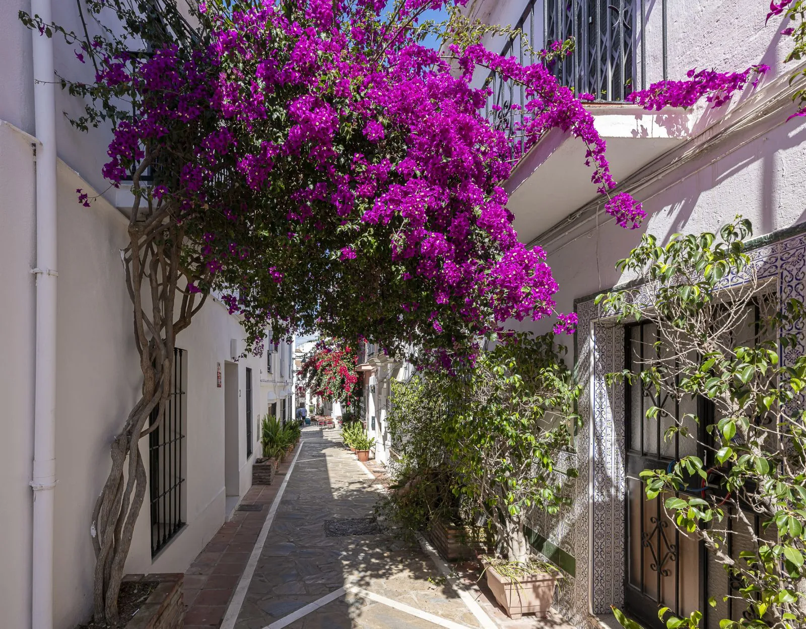 property_gallery_img_74091